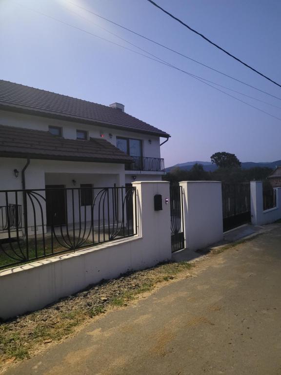 foto (4)